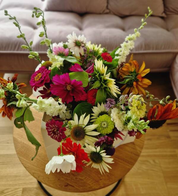 LeBloom Mix lillekimp